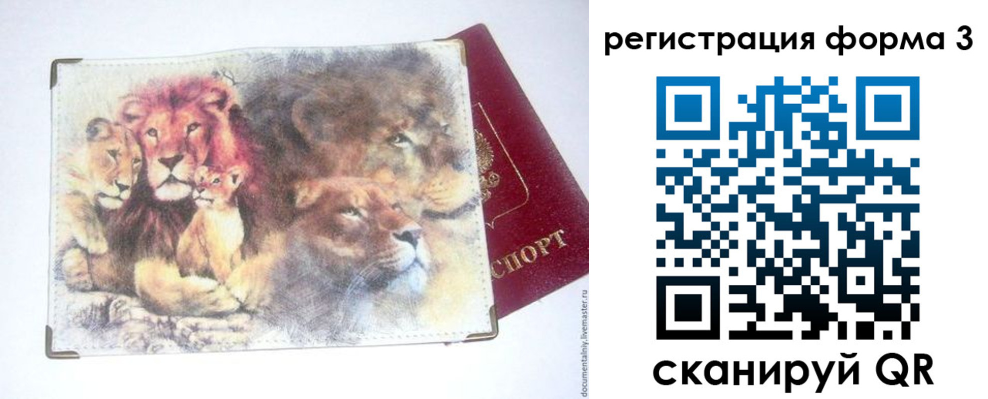 прописка в квартире в Ясном